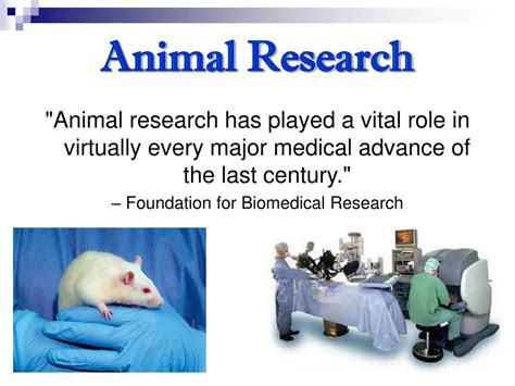 PPT - Animal Rights & Welfare PowerPoint Presentation, free download