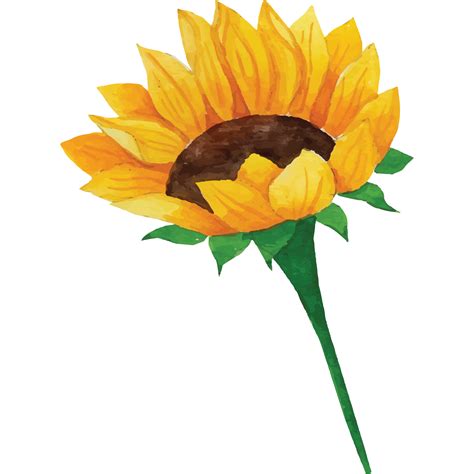 Sunflower Clip Art Element Transparent Background 24186893 Png