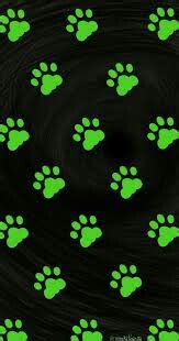 With a miraculous ladybug, everything from the. Paws Chat Noir Background | Miraculous ladybug wallpaper ...