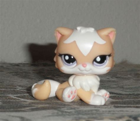 Pin By Kitty Courtney On Lps Cats Lps Pets Lps Littlest Pet Shop
