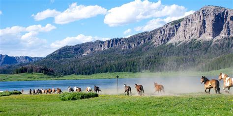 Brooks Lake Lodge Dude Ranch Wyoming Ranch With Forty Horses Wyoming