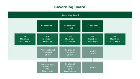 Governing Board Ifla