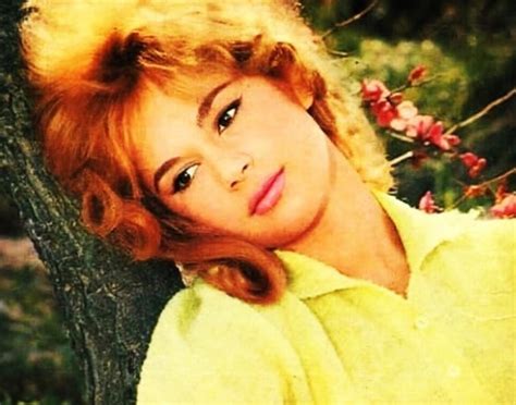 Discogs에서 αλίκη βουγιουκλάκη의 릴리스를 둘러보세요. Αλίκη Βουγιουκλάκη: Vintage φωτογραφία από τα παρασκήνια ...