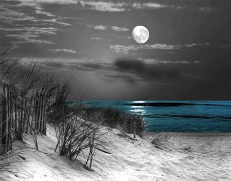 Archival pigments prints on baryta surface fine art paper: Pin on Ocean life