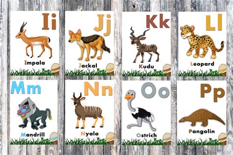 Animal Alphabet Flashcards Jungle Wild Zoo Animals Kids Etsy