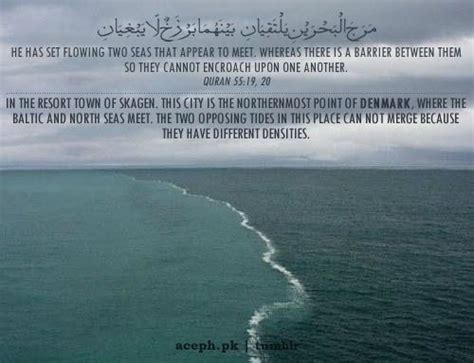 Verses From The Quran About Friendship