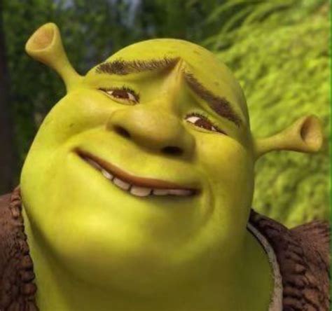 Meme Shrek Cara - Memes Divertidos