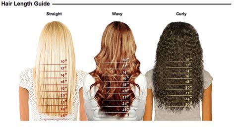 He classifies 12 different types of hair. Texture & Color Chart - weave
