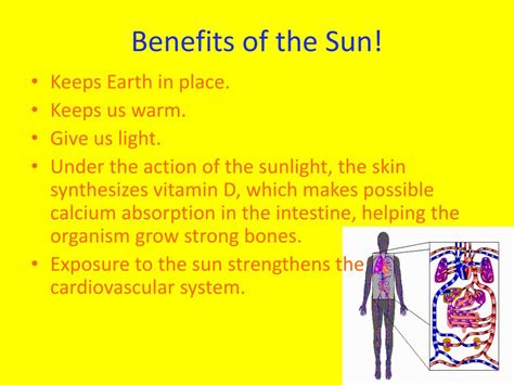 Ppt The Sun Powerpoint Presentation Free Download Id2443089