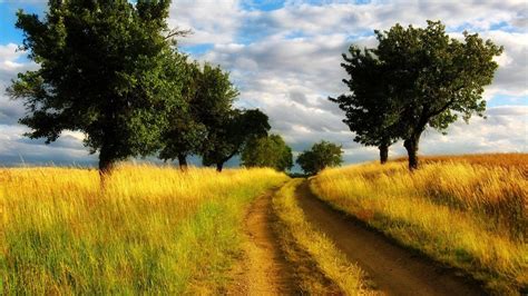 Country Road Wallpapers Wallpaper Cave