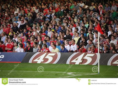 Football Soccer Fans Editorial Stock Photo Image Of Welsh 10882903