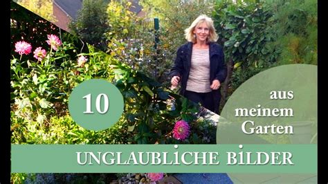 We did not find results for: 10 unglaubliche Bilder aus meinem Garten | immer blühender ...