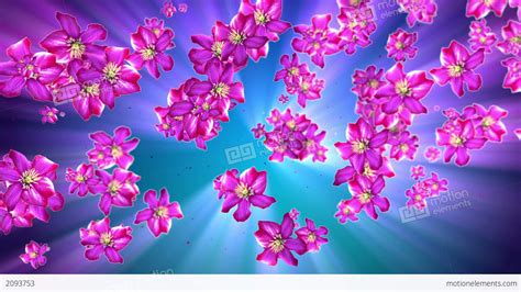 Mother Nature Flower Background Stock Animation 2093753