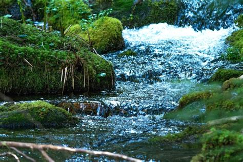 Kostenlose Bild Moos Wasser Natur Fluss Strom Landschaft