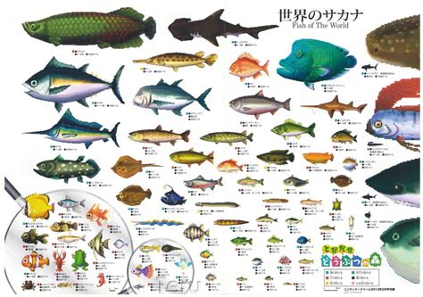 Animal Crossing New Horizons Price Fish List Animal Crossing New