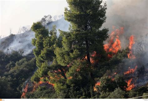 Συναγερμός έχει σημάνει στην πυροσβεστική καθώς έχει ξεσπάσει μεγάλη φωτιά στο χωριό φουρνή, του νομού λασιθίου. Κρήτη: Φωτιά στον Πρινιά Ηρακλείου