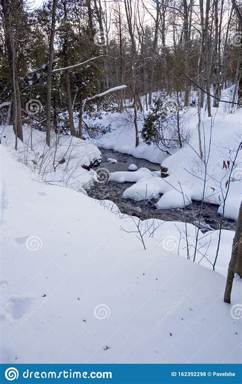 Snowy Creek Stock Photo Image Of Seasonal Cold Winter 162392298