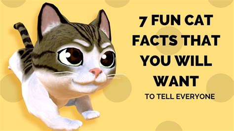 Fun Facts About Cats For Kids Amazing Facts About Cats And Kittens You