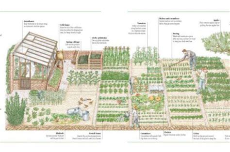 Image Result For 5 Acre Homestead Layout Potager Permaculture