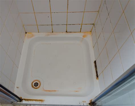 Shower curtains are a popular hangout for pink mold since they're seldom cleaned and usually riddled with soap and shampoo residue. Pink Mold in Your Bathroom: How to Get Rid of It | C&W ...