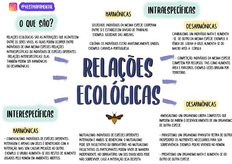 Mapa Mental Relação Ecológica