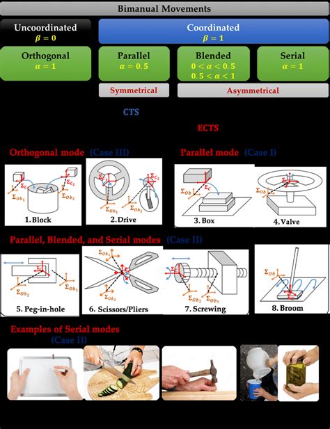 A Categories Of Bimanual Movements B Typical Dual Arm Manipulation