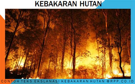 Teks eksplanasi sendiri didasarkan pada. 12 Contoh Teks Eksplanasi Singkat Beserta Strukturnya ...