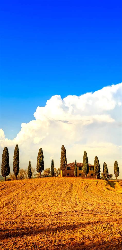 Amongrafro Italy Landscape Tuscany Landscape Landscape