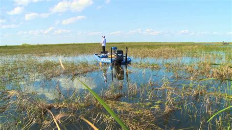 Lake Okeechobee Oranges Alligators Green Grass Strike King Pro Team