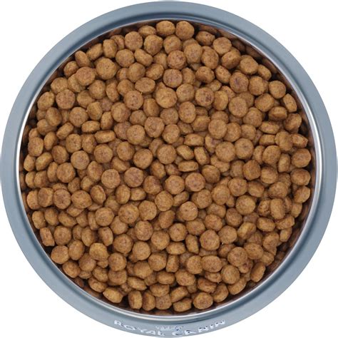 Hydrolyzed protein veterinary diet, dry food made for dogs with skin and digestive problems due to food sensitivities. Royal Canin Hydrolyzed Protein Dog Food Side Effects ...