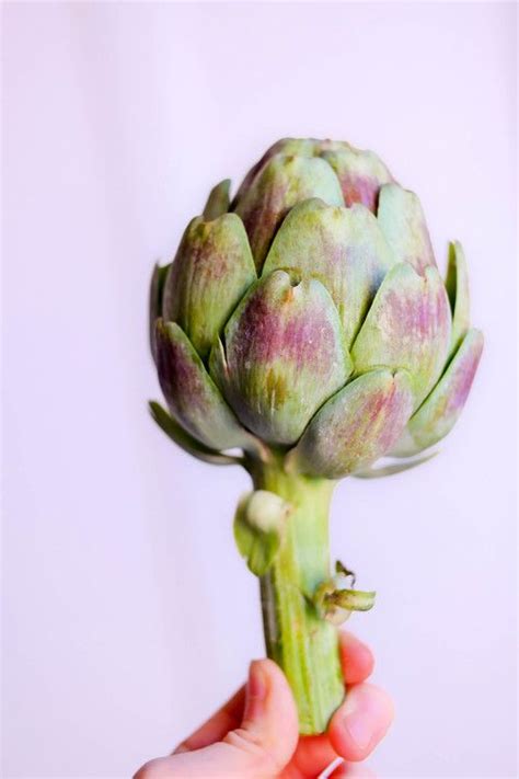 The maria_demina community on reddit. Pin on ! A Permanent Health Kick ! - Healthy Recipes and ...