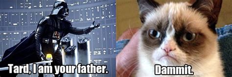 16 Best Images About Grumpy Cat Star Wars On Pinterest Memes Humor Walt Disney World And