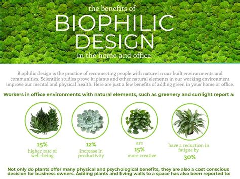 Biophilic Design Boosting Well Being By Reconnecting People With Nat