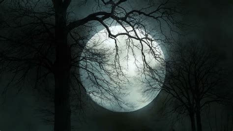 Full Moon Night Mystic Night Sky Large Moon Background Trees