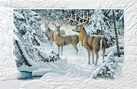 Animal Christmas Cards Set Of Animal Christmas Cards By Bexie Kim