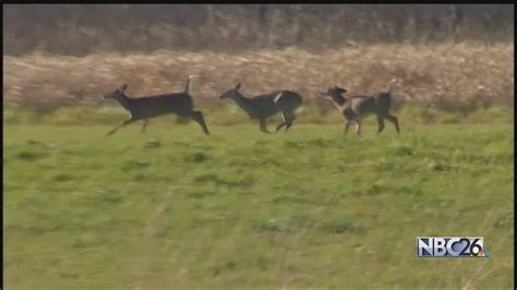 Deer Hunting Licenses Are Up In Wisconsin Youtube