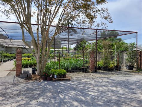 Girouard's Nursery & Greenhouses | Broussard & Youngsville LA Area News