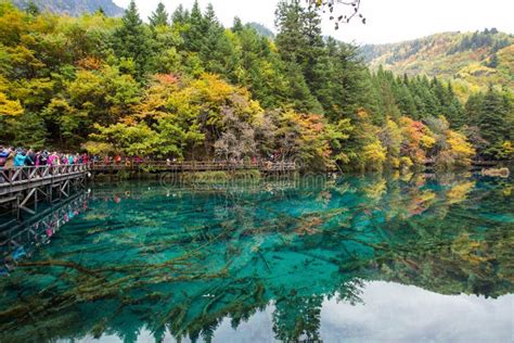 240 Five Flower Lake Jiuzhaigou Valley Stock Photos Free And Royalty