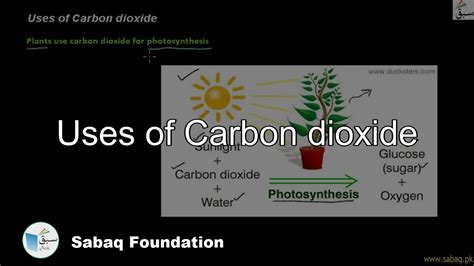 Uses Of Carbon Dioxide General Science Lecture Sabaq Pk Youtube