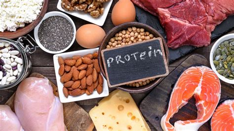 Can You Eat Too Much Protein Integris Health