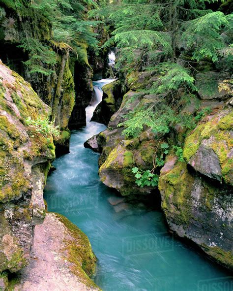 Usa Montana Glacier National Park The Blue Waters Of Avalanche Creek