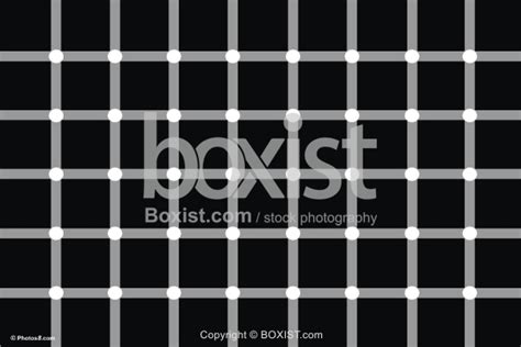 Black Dots Optical Illusion Boxist Com Photography Sam Mugraby S
