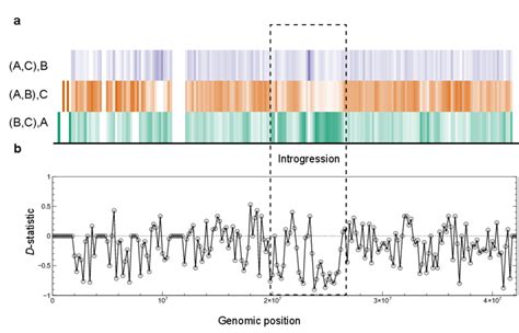 MVF files can easily generate genome-wide " chromoplots " (a) in only