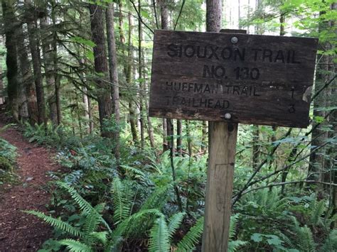 The Siouxon Trail Is One Of The Best Waterfall Hikes In Washington