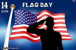 Image result for flag day
