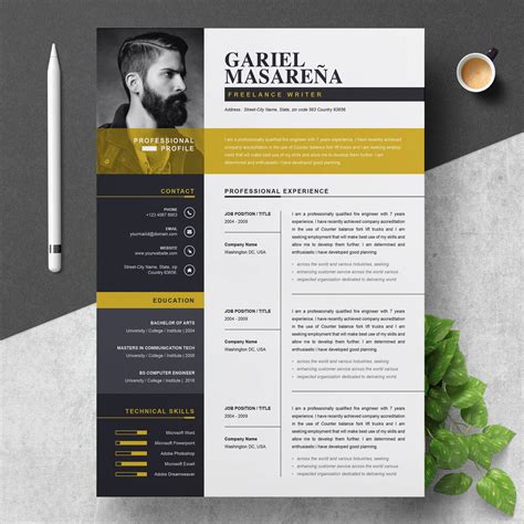 Professional Resume Template For Word Cv Resume Cover Letter