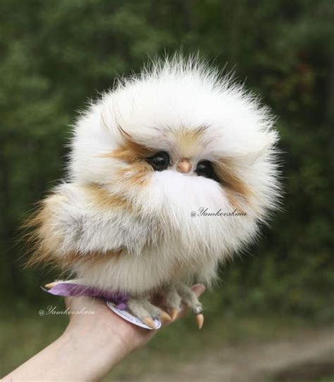 Owl Rafael By Marina Yamkovskaia Cute Baby Animals