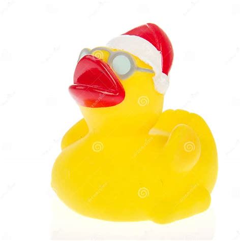 Christmas Duck Stock Photo Image Of Glasses Santa Background 19635700