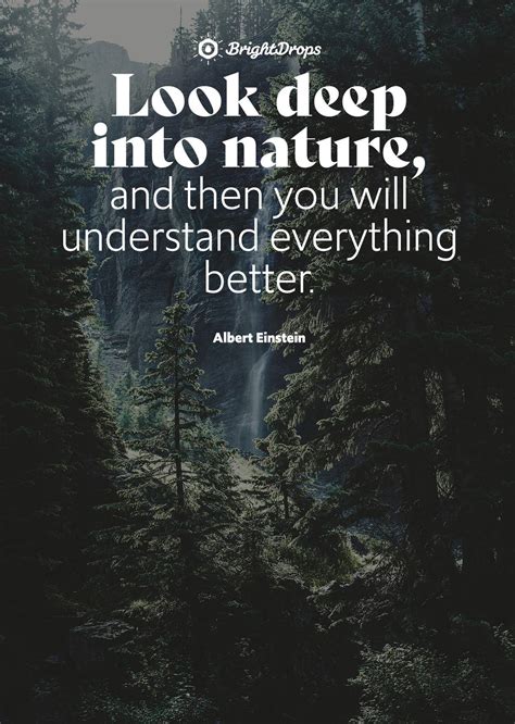 105 Inspirational Nature Quotes On Life And Its Natural Beauty