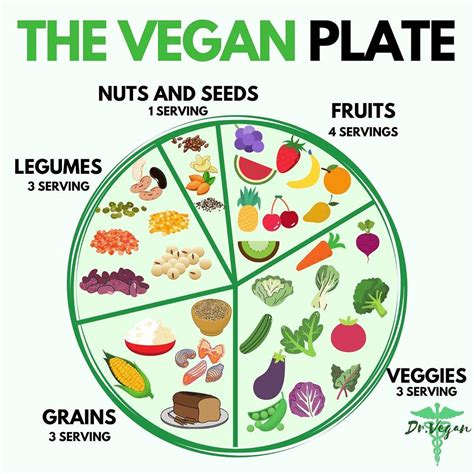 Dr Vegan On Instagram “not Sure How To Build A Vegan Plate Heres